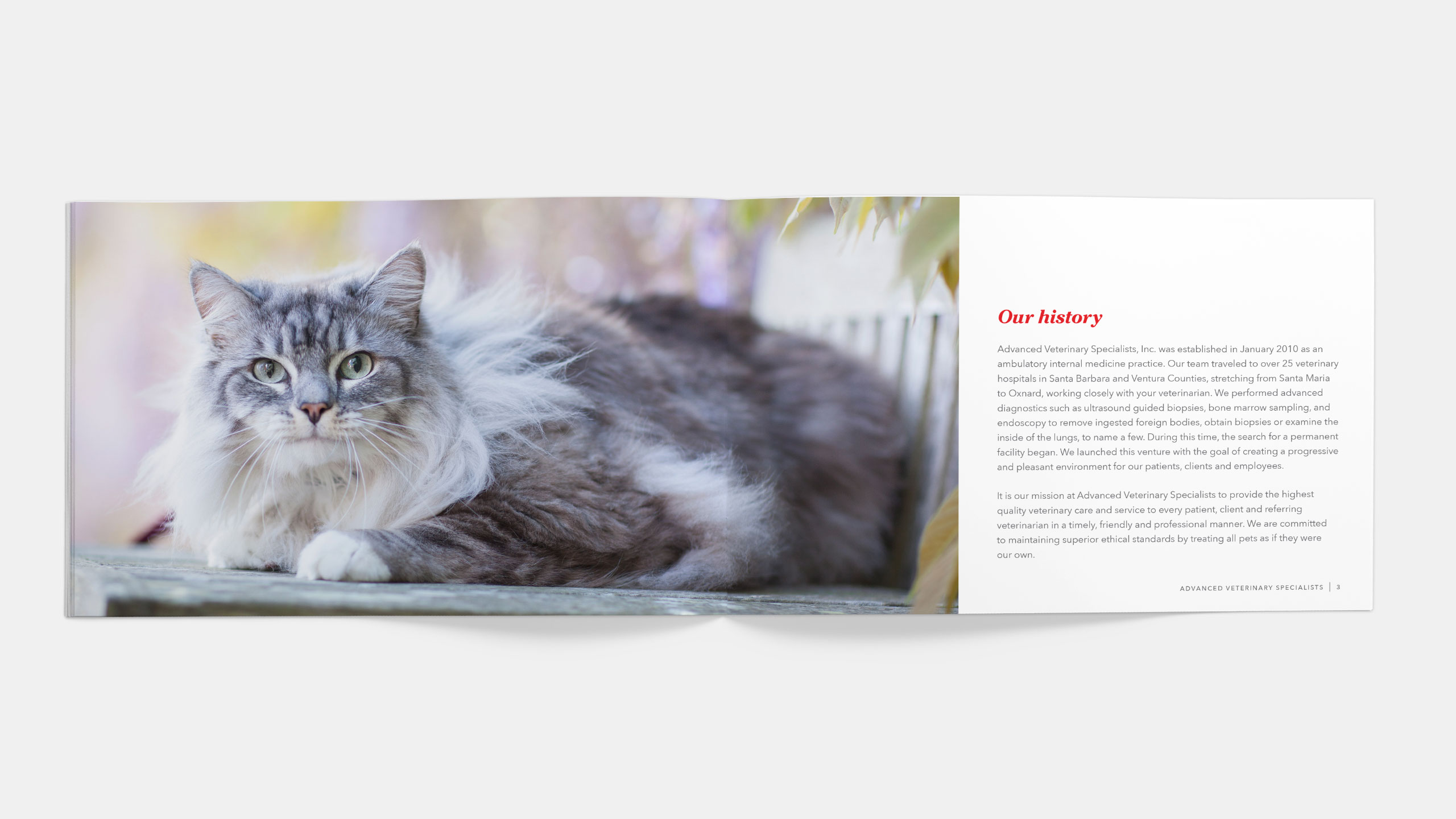 Advanced Veterinary Specialists